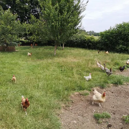 Bed and Breakfast Aura D'epices Havelange