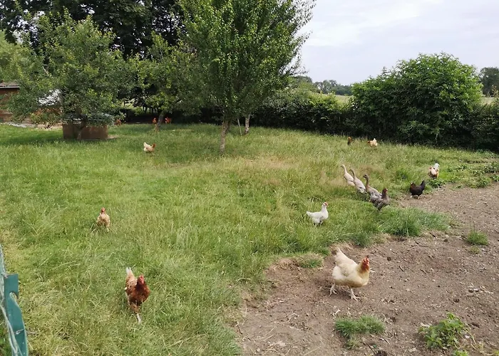 Couette-café Aura D'epices Havelange