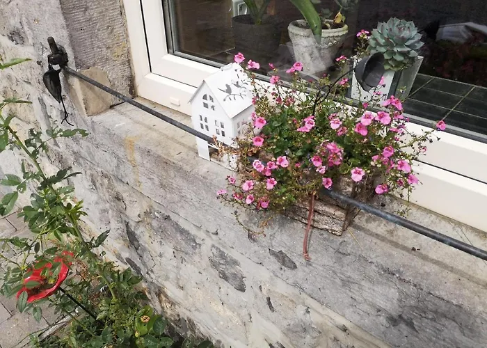 Aura D'epices Couette-café Havelange